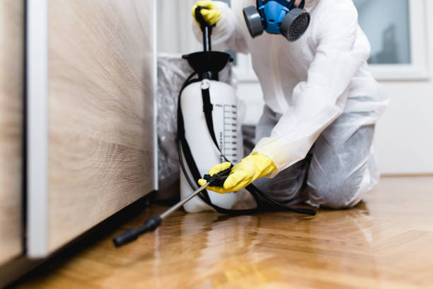 Best Flea Control Services  in Carlisle Rockledge, AL
