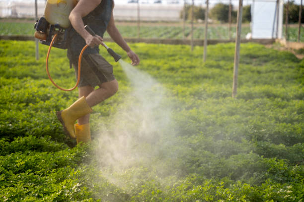 Best Affordable Pest Control Services  in Carlisle Rockledge, AL