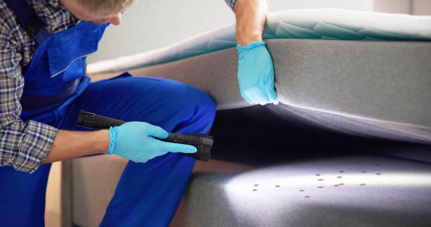 Reliable Carlisle Rockledge, AL Pest Control Solutions