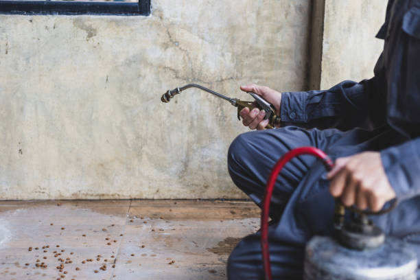 Best Wasp Removal Services  in Carlisle Rockledge, AL