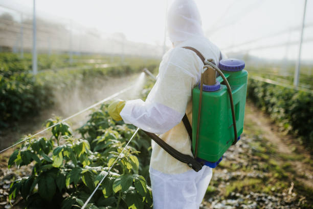 Best Pest Prevention Services  in Carlisle Rockledge, AL